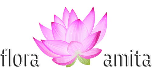 flora amita soins énergie